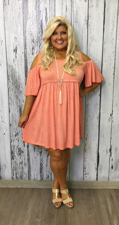 Plus Size Boutiques Colorburst Tops & Dresses