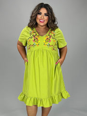 33 SD-A {Young At Heart} Lime Embroidered Dress PLUS SIZE 1X 2X 3X