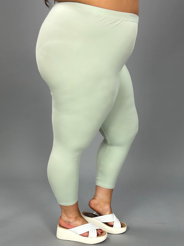 LEG-20 {Spring Time} SAGE Butter-Soft LEGGINGS EXTENDED PLUS SIZE 3X/5X