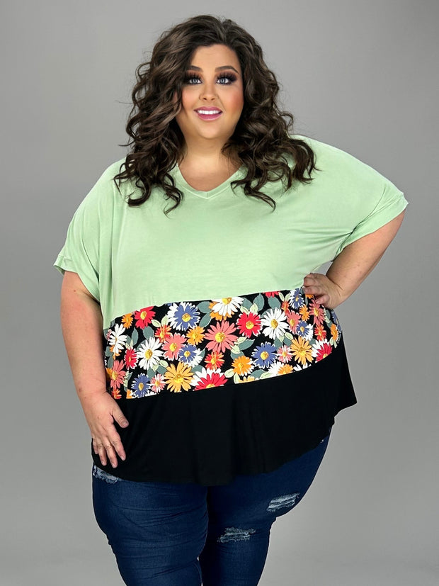 29 CP-J {Pop Of Daisies} Mint/Daisy Print/Black Tunic CURVY BRAND!!!  EXTENDED PLUS SIZE 4X 5X 6X  (May Size Down 1 Size)