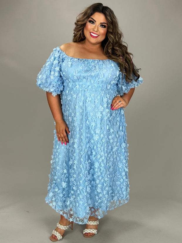 LD-E {Stand Out} Baby Blue Floral Applique on Lace Lined Dress PLUS SIZE 3X