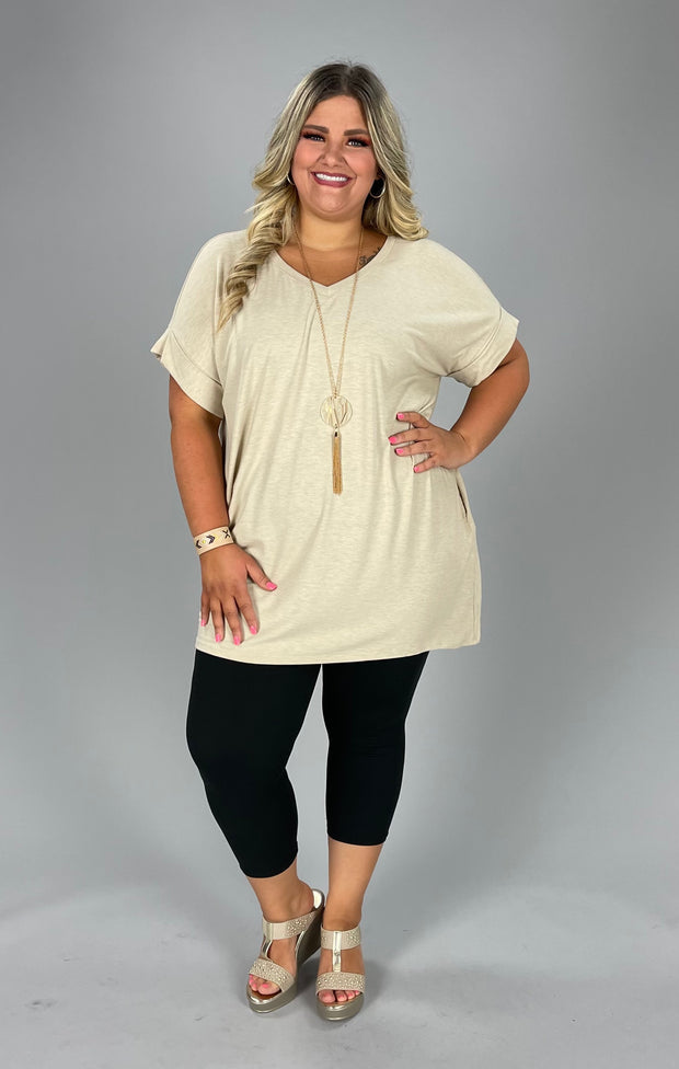 45 SSS-E {Simple Ease} Heather Beige V-Neck Top PLUS SIZE 1X 2X 3X