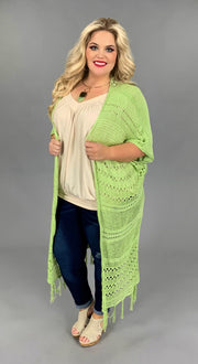 OT-D (Sage Advice} Lt. Green Sweater With Fringe Detail & Back Lace Insert PLUS SIZE 1X 2X 3X