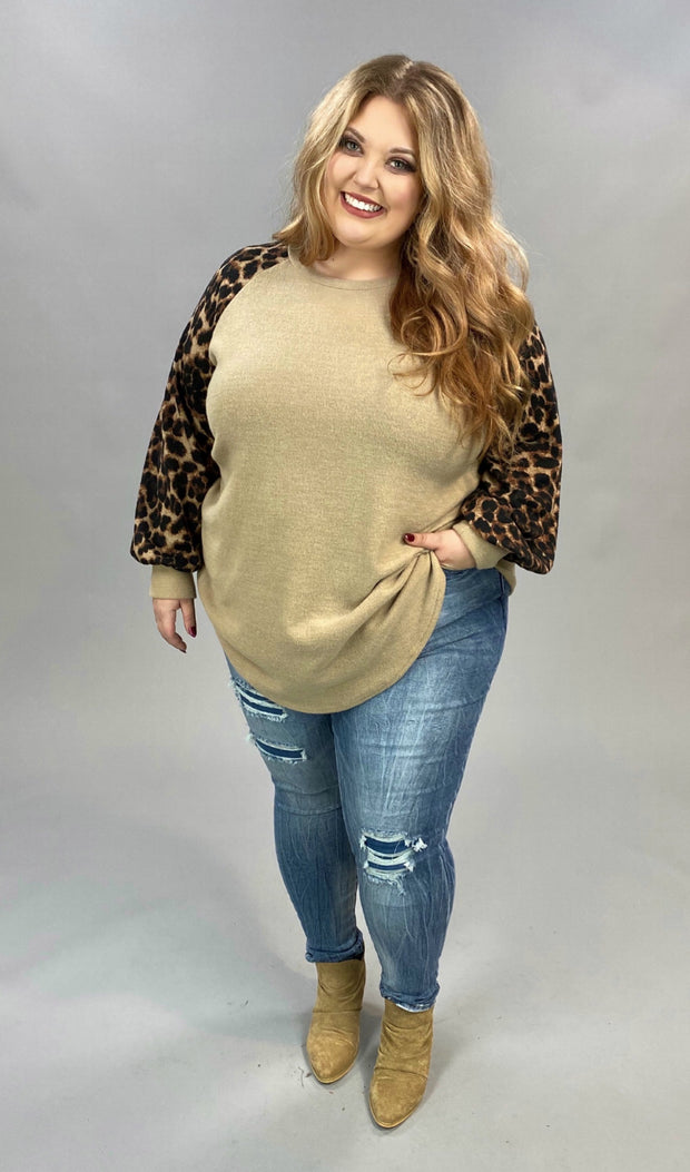 CP-G {Too Cute} SALE!! Beige Knit Top Brown Leopard Sleeve PLUS SIZE XL 2X 3X