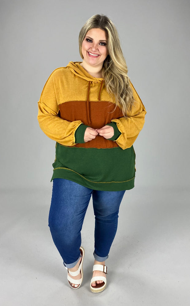 59 HD-B [Gold Dust} Mustard Long Sleeve Hoodie PLUS SIZE 1X 2X 3X