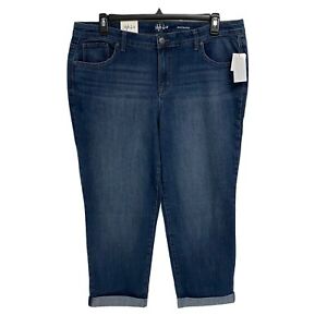 BT-Q  M-109  {Style & Co} Blue Boyfriend Jeans Retail $59.50 PLUS SIZE 16W 20W